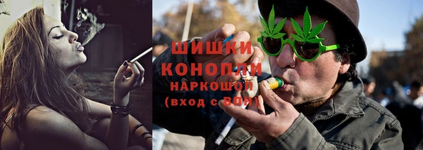 крисы Армянск