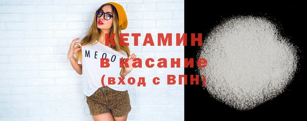 шишки Арсеньев