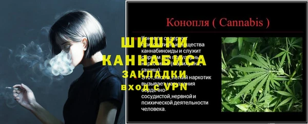 ГАЛЛЮЦИНОГЕННЫЕ ГРИБЫ Аркадак