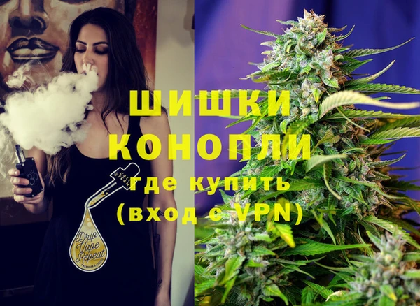 крисы Армянск