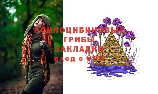 крисы Армянск