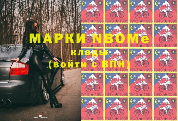 шишки Арсеньев