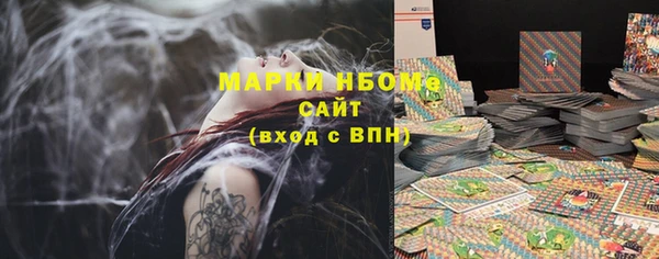 шишки Арсеньев