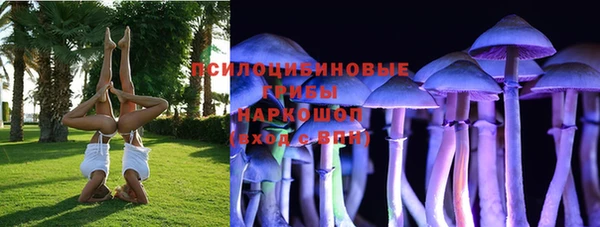 шишки Арсеньев