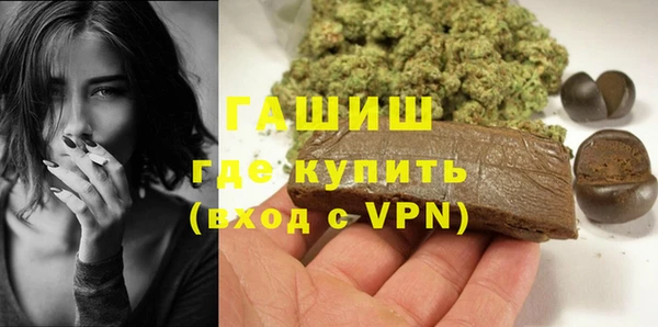 шишки Арсеньев