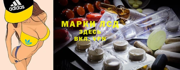 шишки Арсеньев
