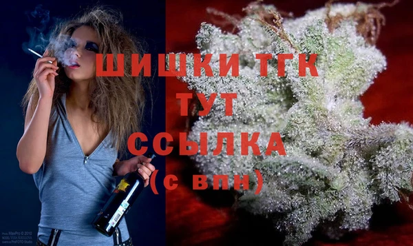 шишки Арсеньев