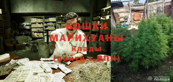 шишки Арсеньев