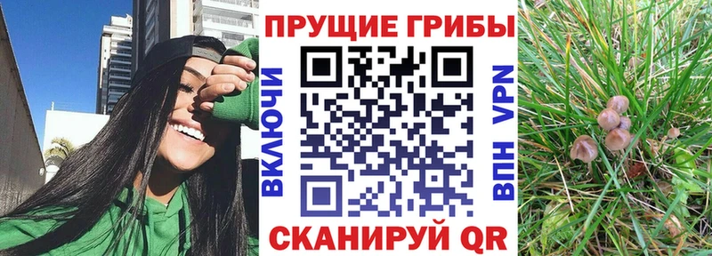 Галлюциногенные грибы GOLDEN TEACHER  Макарьев 